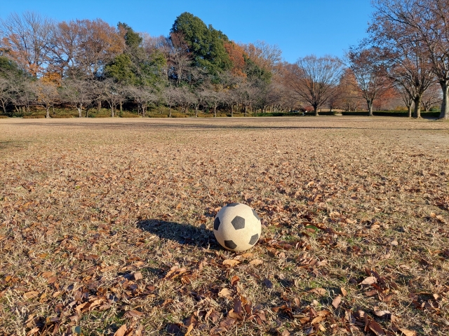 公園とサッカーボール