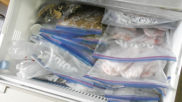 冷凍庫に整理された食材