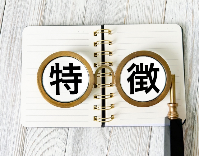 メモに特徴と書かれている