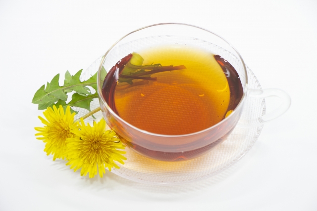 タンポポ茶